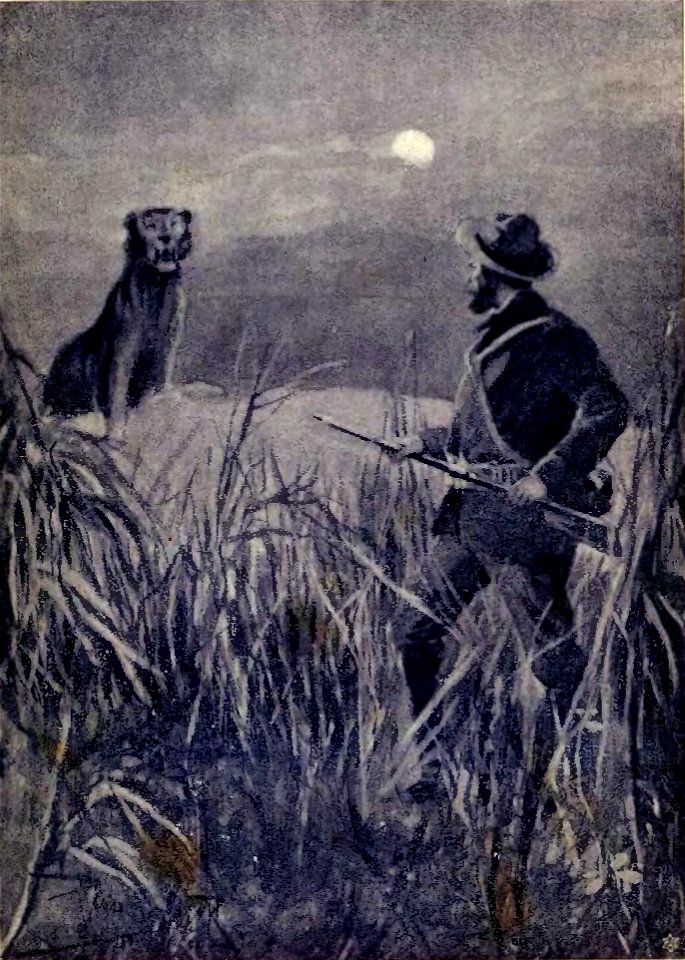 Salgari - I figli dell'aria (page 347 crop)