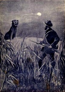 Salgari - I figli dell'aria (page 347 crop)