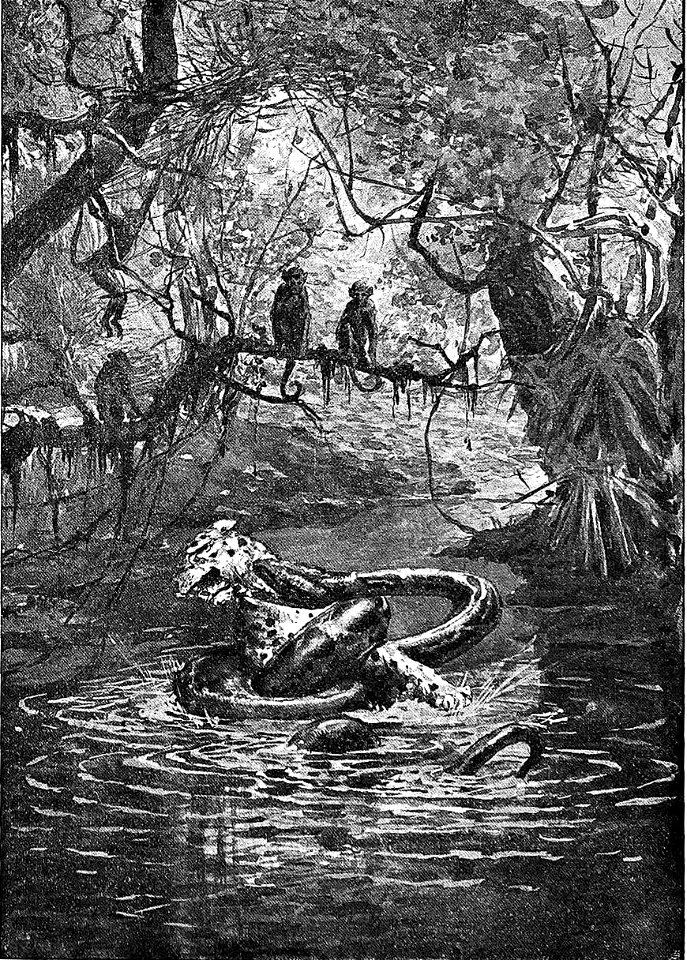 Salgari - L'Uomo di fuoco (page 87 crop)