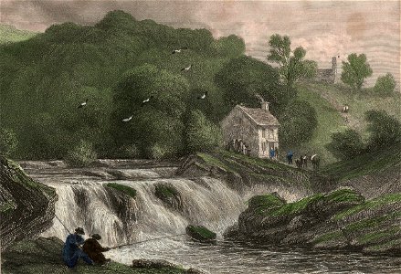 Salmon leap on the Teify - N. Newcastle