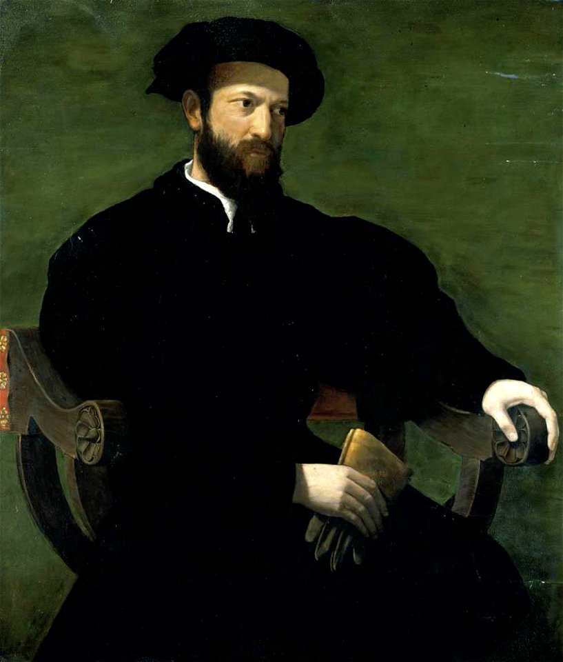 Francesco salviati, ritratto di gentiluomo