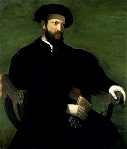 Francesco salviati, ritratto di gentiluomo. Free illustration for personal and commercial use.