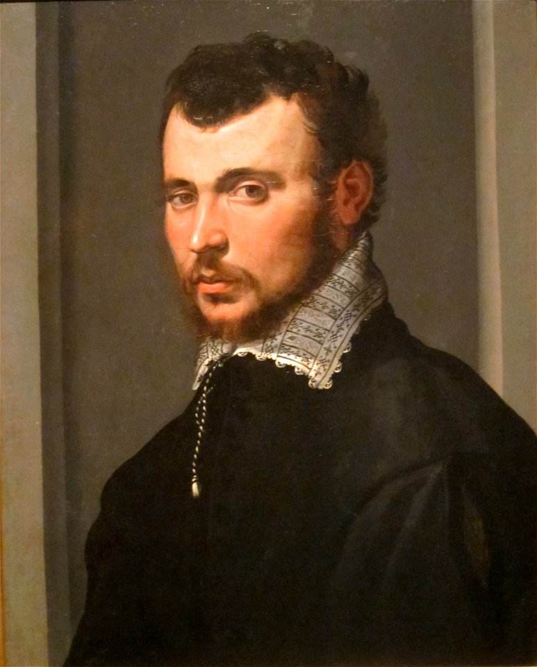 Francesco Salviati --Portrait of a Young Man, c. 1550