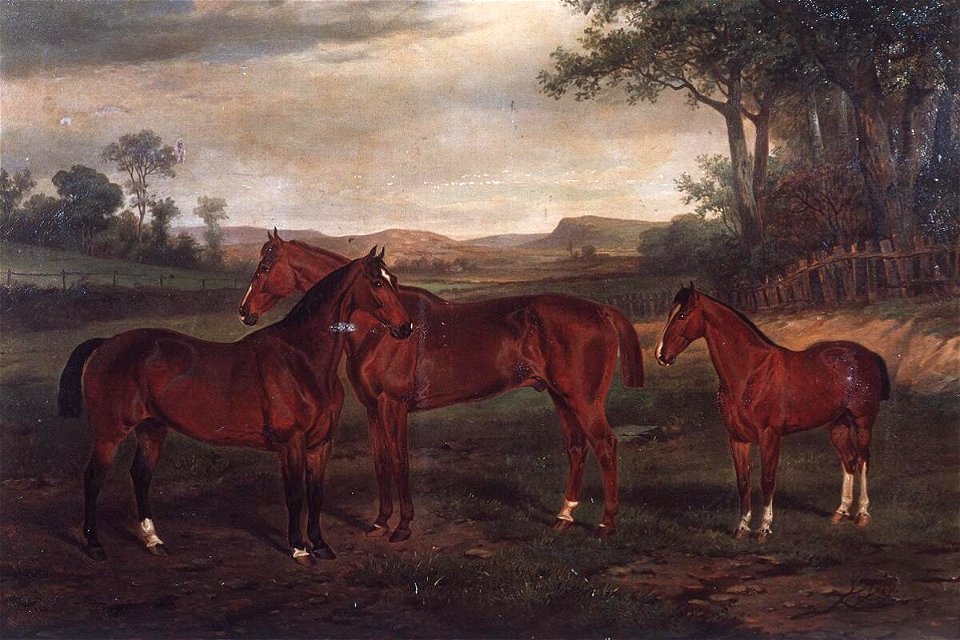 Sam, Bowler and Farmer 1860