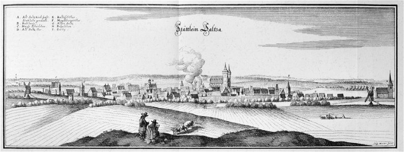 Saltza (Merian)