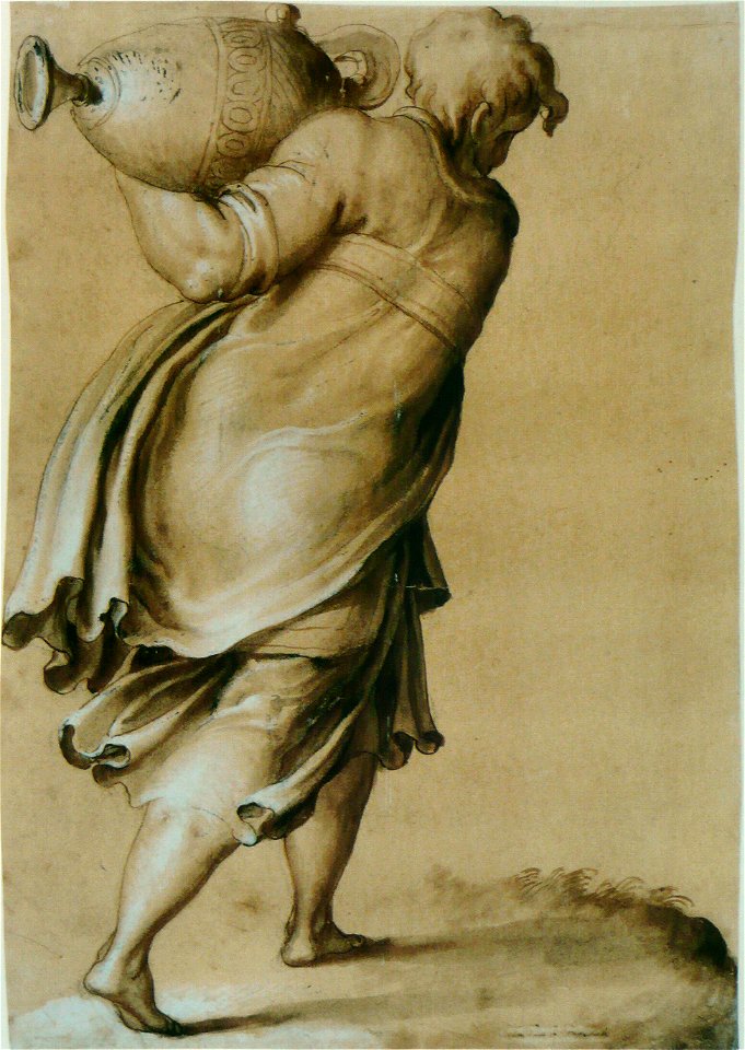 Francesco Salviati - Figure de dos