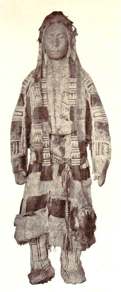 Samojede in Winterdress