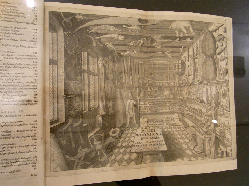 Sammlung Ludwig - Artefakt und Naturwunder-Musei Wormiani80354