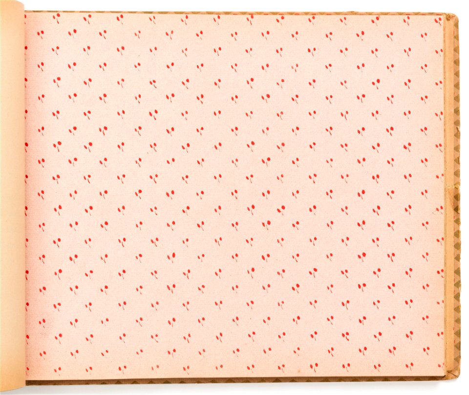 Sample Book, Patria Papiers de Fantaisie, 1920 (CH 18438405-9)