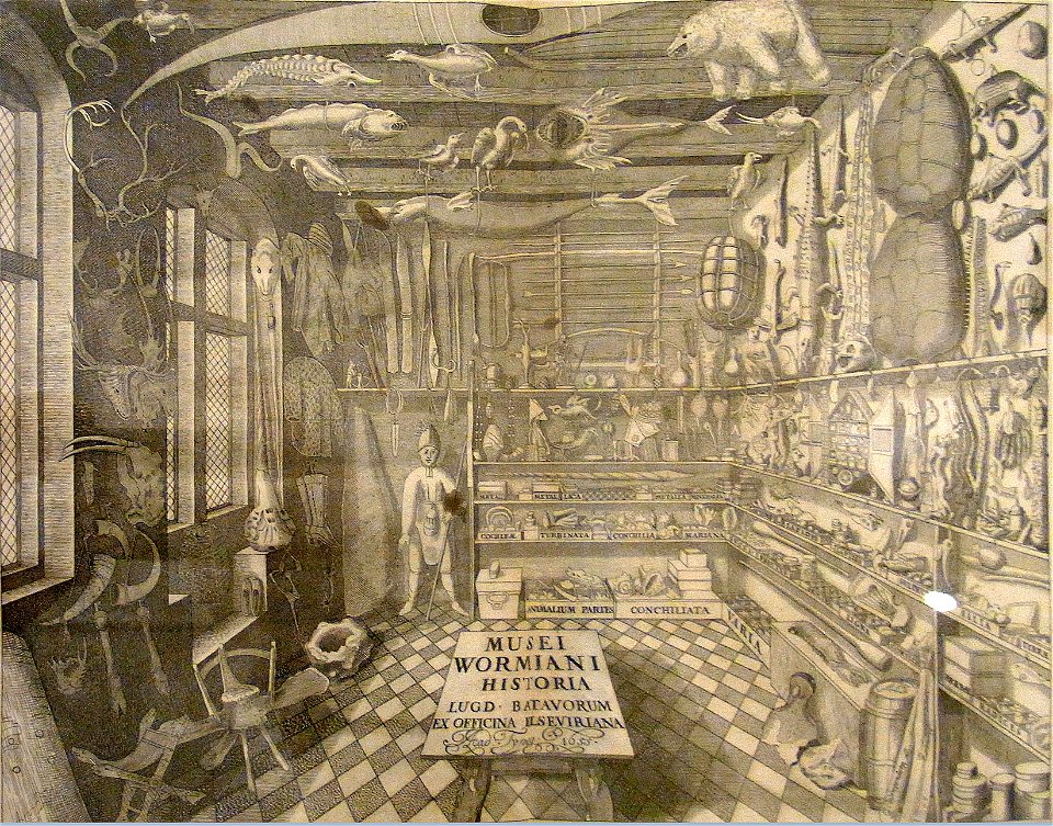 Sammlung Ludwig - Artefakt und Naturwunder-Musei Wormiani80357