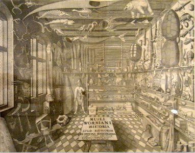 Sammlung Ludwig - Artefakt und Naturwunder-Musei Wormiani80357