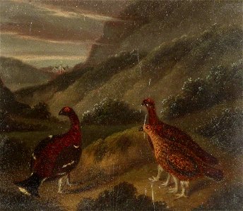 Samuel John Egbert Jones (1797-1861) - Landscape with Three Grouse - 515720.3 - National Trust