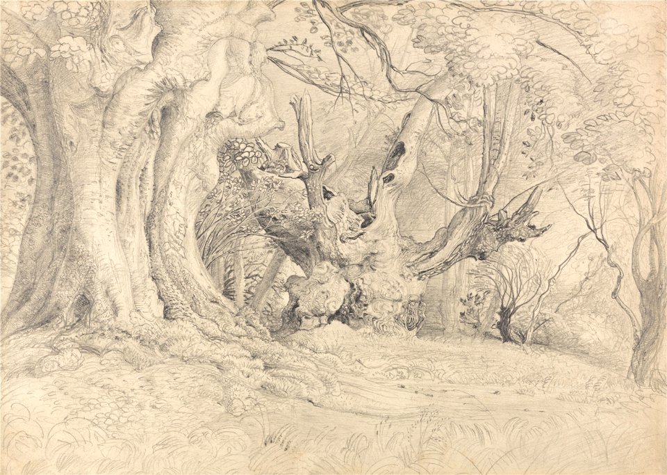 Samuel Palmer - Ancient Trees, Lullingstone Park - Google Art Project