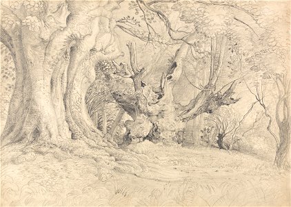 Samuel Palmer - Ancient Trees, Lullingstone Park - Google Art Project