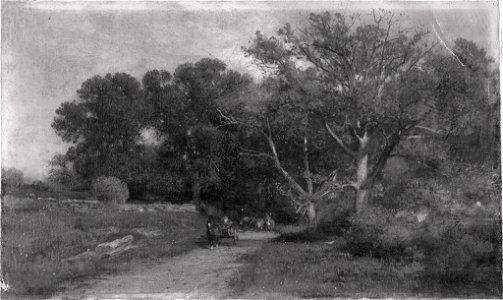 Samuel Colman - Country Road - 1895.701 - Harvard Art Museums