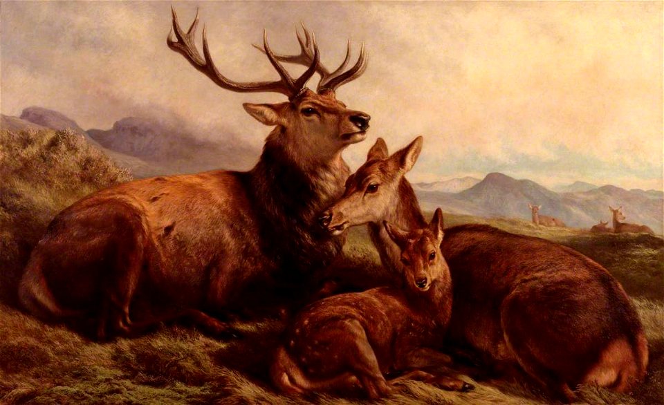 Samuel John Carter (1835-1892) - Morning with the Wild Red Deer - N01559 - Tate