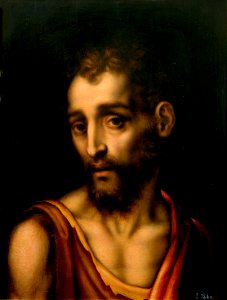 San Juan Bautista - Luis de Morales