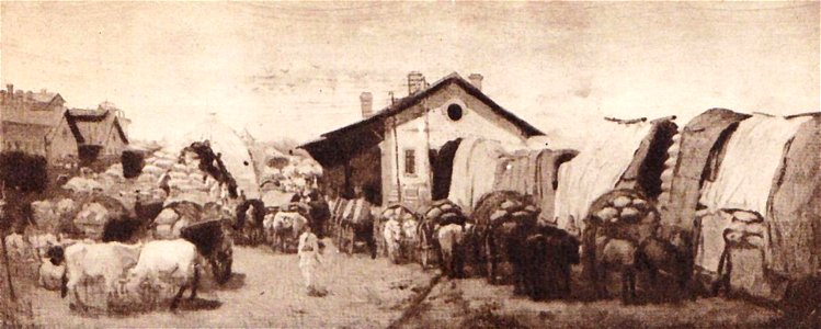 Sava Hentia - Gara de marfuri