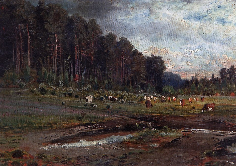 Savrasov moose island study