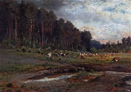 Savrasov moose island study