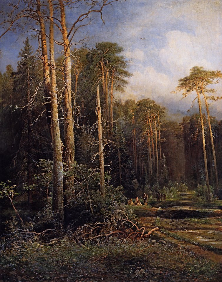Savrasov road forest