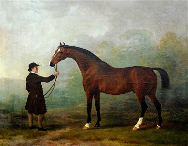 Sawrey Gilpin (1733-1807) - 'Jason', a Bay Racehorse, with a Groom in a Landscape - 290361 - National Trust. Free illustration for personal and commercial use.