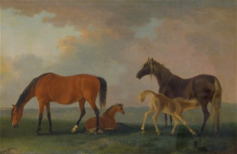 Sawrey Gilpin - Mares and Foals, facing left - Google Art Project. Free illustration for personal and commercial use.