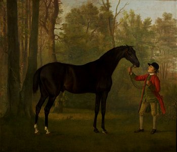 Sawrey Gilpin (1733-1807) - Portrait of a Horse - RCIN 401258 - Royal Collection. Free illustration for personal and commercial use.