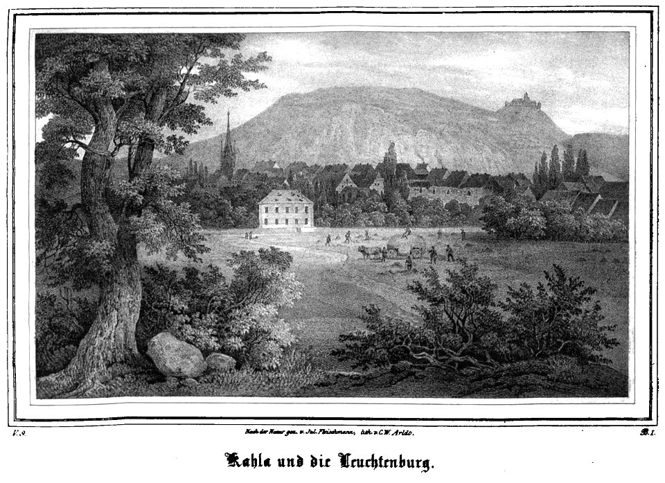 Saxonia Museum fuer saechsische Vaterlandskunde V 20