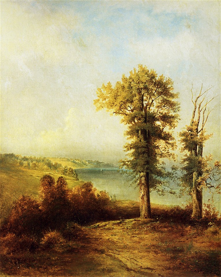 Savrasov small oaks