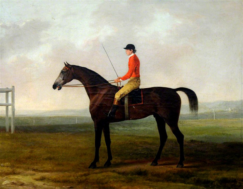 Sawrey Gilpin (1733-1807) - 'Pilot', a Grey Racehorse with a Jockey Up, in a Racecourse Setting - 290358 - National Trust