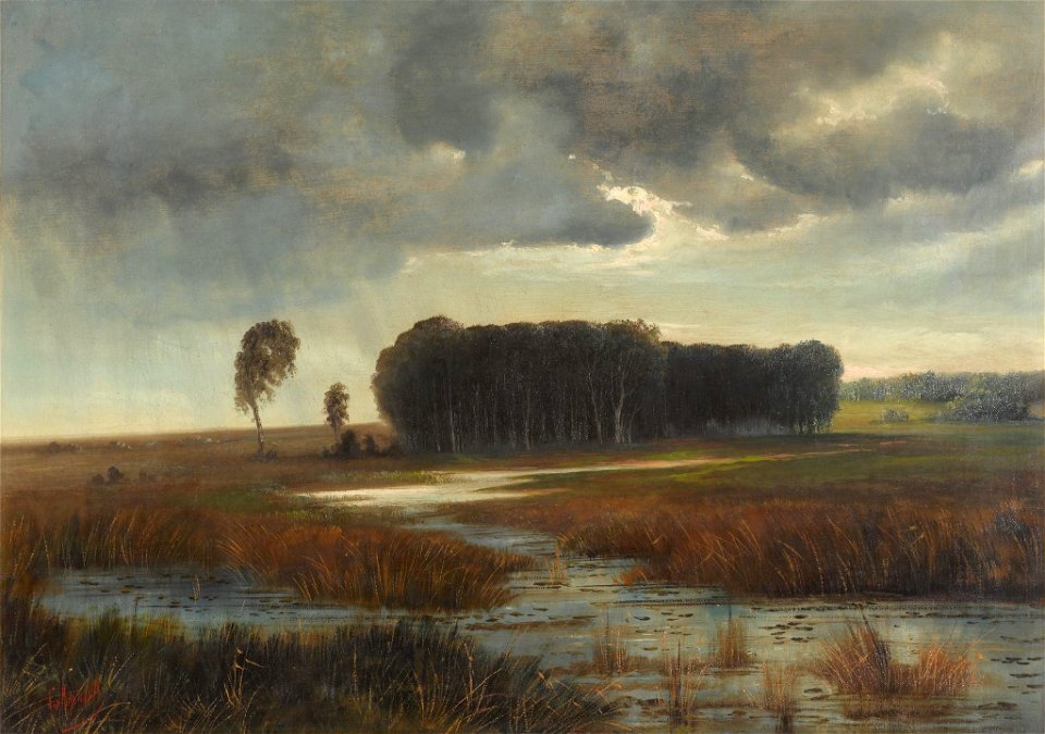 Savrasov swamp island