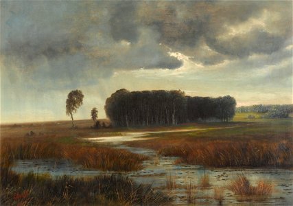 Savrasov swamp island. Free illustration for personal and commercial use.