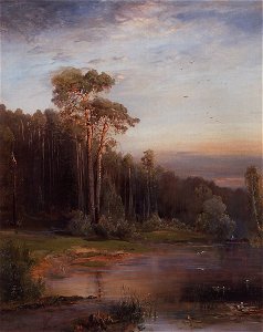 Savrasov pines river