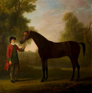 Sawrey Gilpin (1733-1807) - Portrait of a horse - RCIN 401260 - Royal Collection. Free illustration for personal and commercial use.