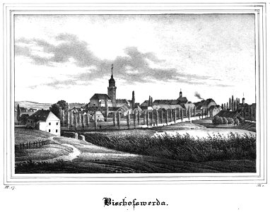 Saxonia Museum fuer saechsische Vaterlandskunde III 43