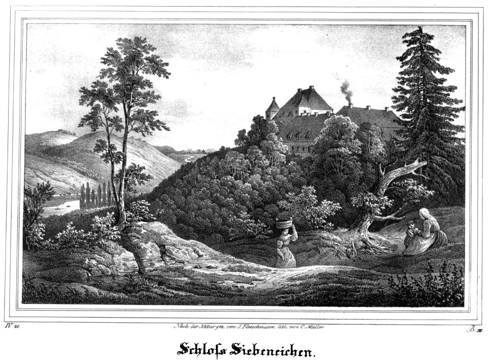 Saxonia Museum fuer saechsische Vaterlandskunde IV 59