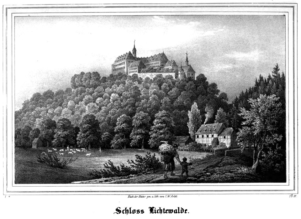 Saxonia Museum fuer saechsische Vaterlandskunde V 19
