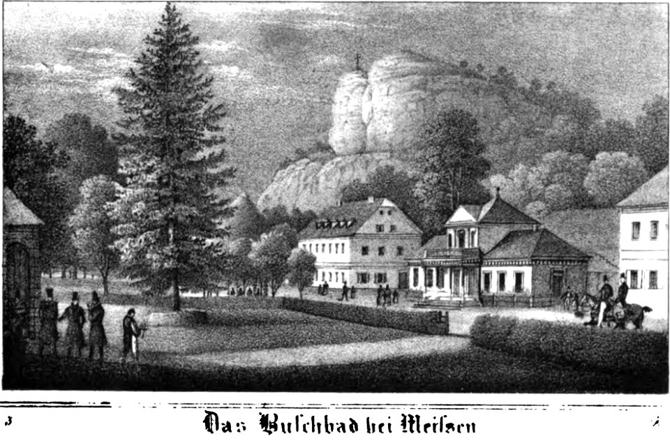 Saxonia Museum für saechsische Vaterlandskunde I 12