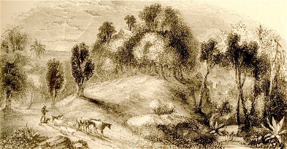Scene near Cephisia- from a Sketch by Herve - Wordsworth Christopher - 1882