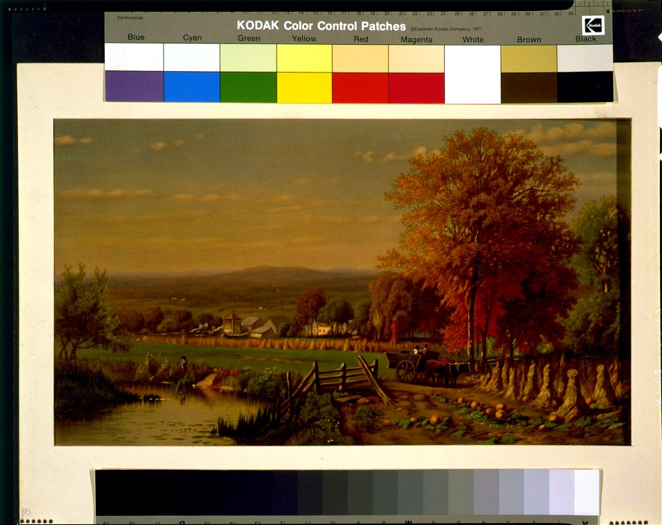 Scene on farm, near Farmington, Connecticut, in autumn, showing pond, fields, and buildings LCCN97518989
