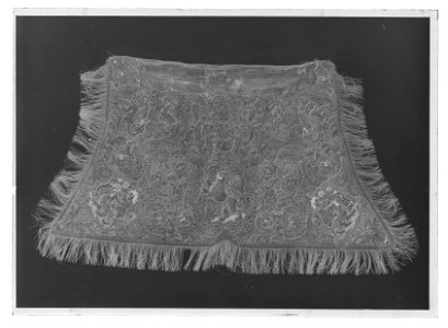 Schabrak, guldbroderat - Livrustkammaren - 729-negative
