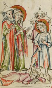 Sbs-0008 027v Jesus erweckt den Toten wieder