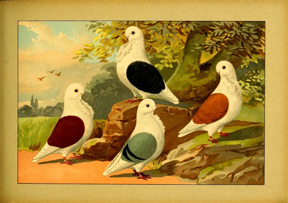 Schachtzabel 1906 Tafel 68