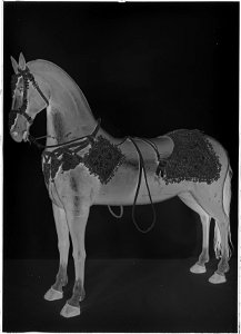Schabrak, Karl XI - Livrustkammaren - 27658-negative