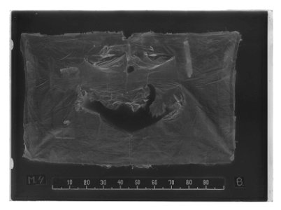Schabrak, litet, slitet - Livrustkammaren - 26315-negative