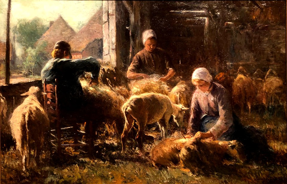 Schaapscheren in Drenthe2 1901 door Franz Courtens (1850-1943)