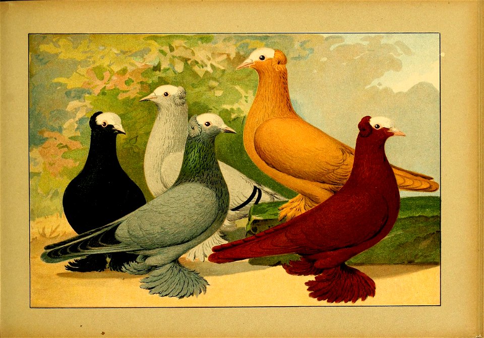 Schachtzabel 1906 Tafel 33