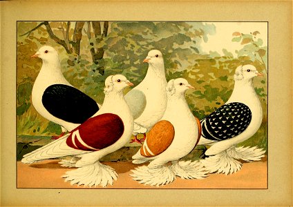 Schachtzabel 1906 Tafel 38