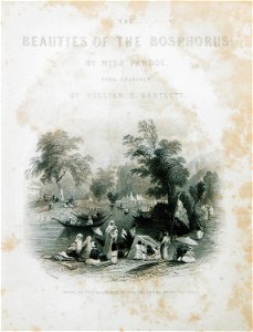 Scene on the Barbyses, in the Valley of Sweet Waters - Pardoe Julia - 1839